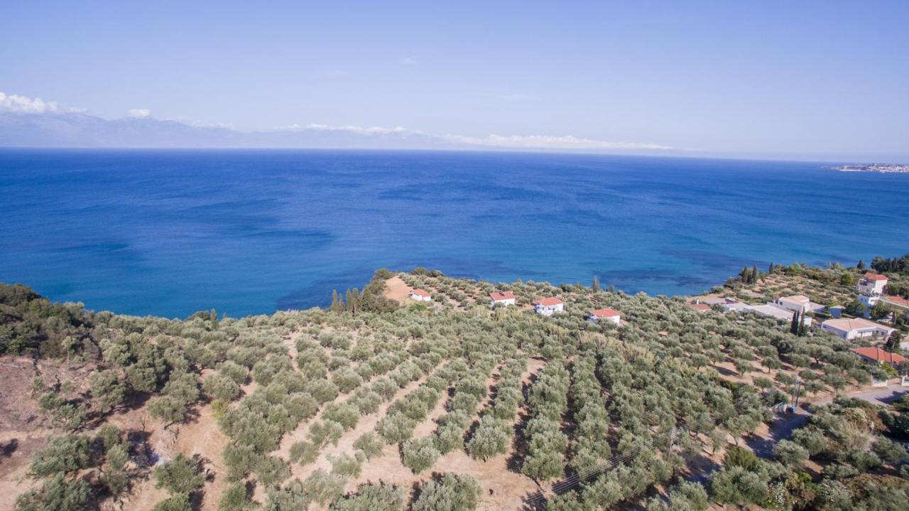 KoróniΚτήμα Παπαβασιλόπουλος 2 -别墅 外观 照片